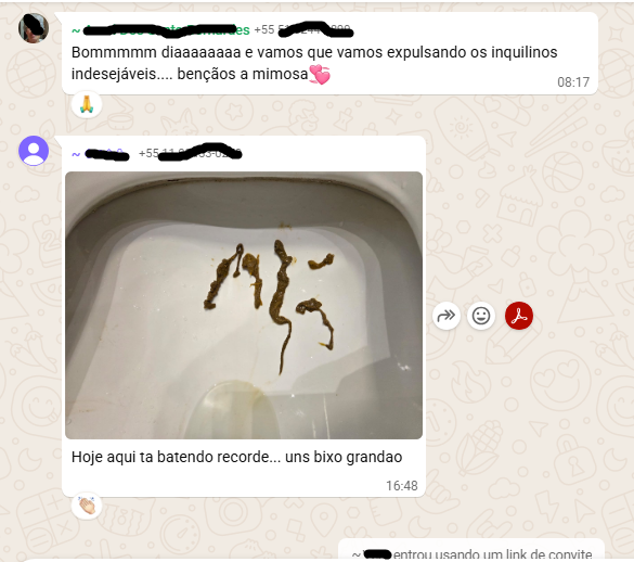 Desparasitação