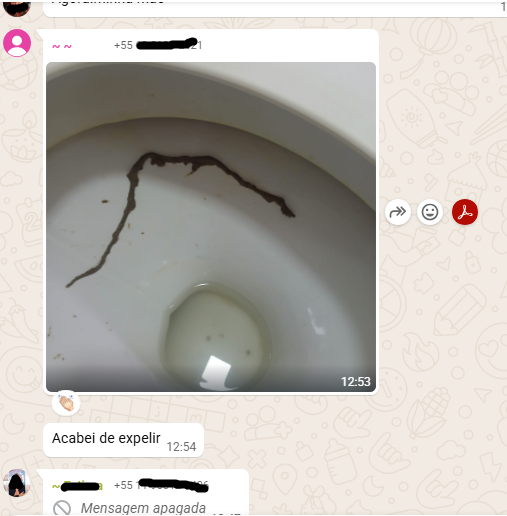 Fotos de Parasitas