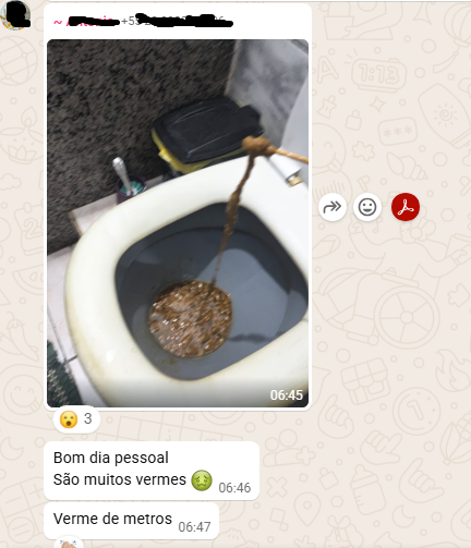 Lumbrigas na barriga