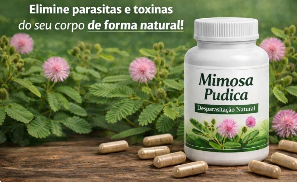 Mimosa Pudica...